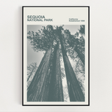 Sequoia National Park Print