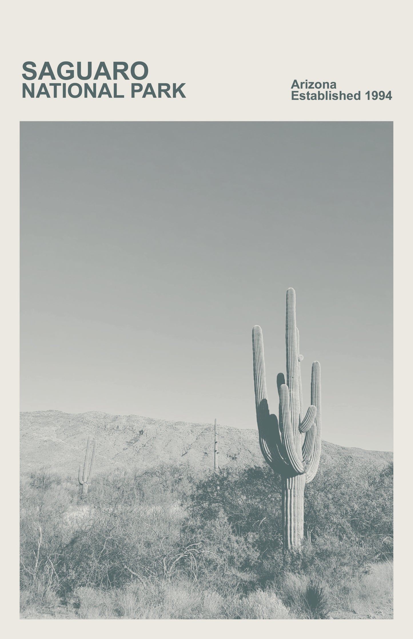 Saguaro National Park Poster