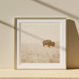 Buffalo Print
