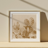 Cacti Print