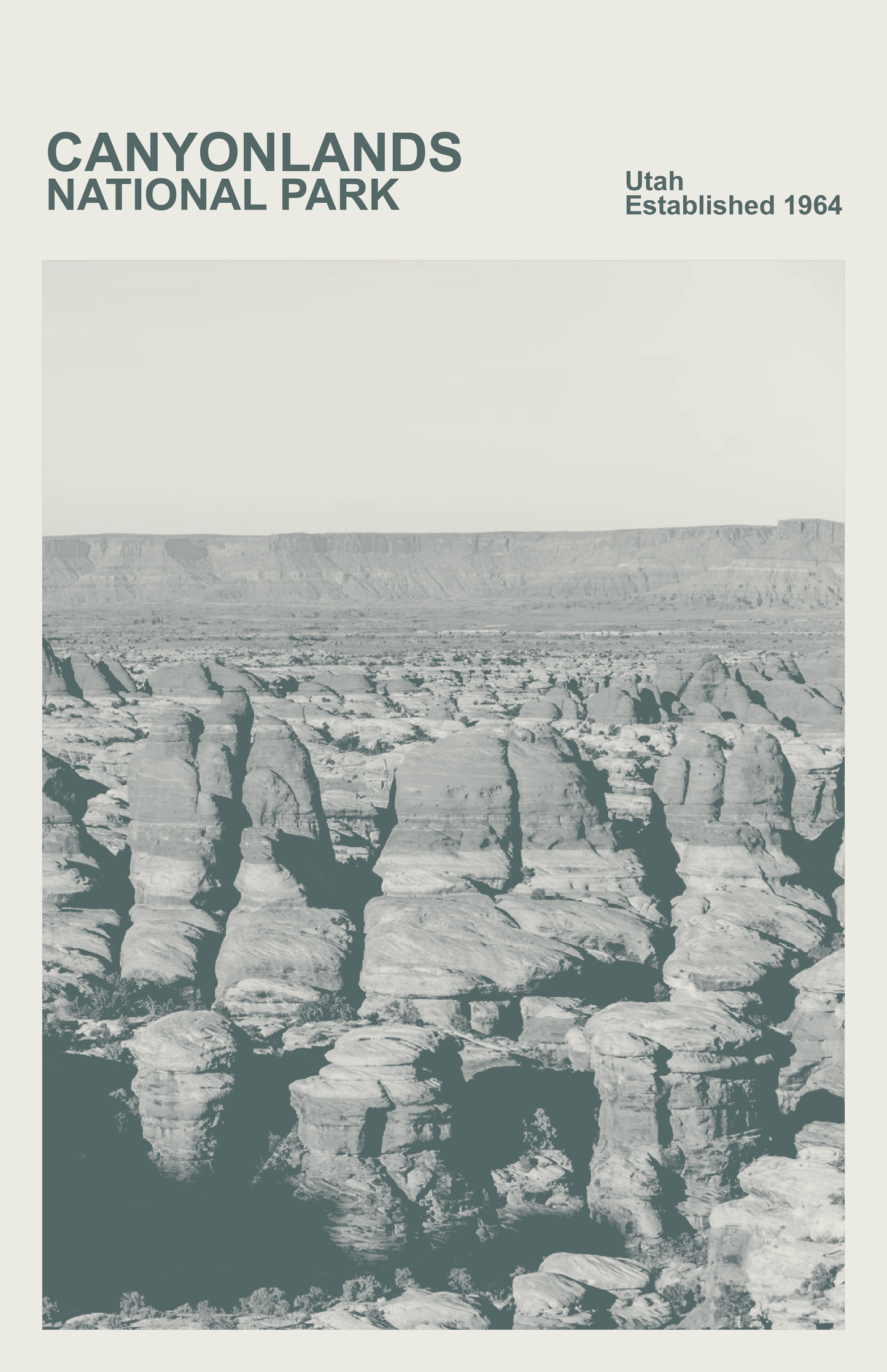 Canyonlands Lake National Park Poster, Print, Monochrome