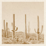 Cactus Desert Print