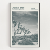 Joshua Tree National Park Print