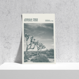 Joshua Tree National Park Print