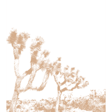 Joshua Tree Print