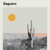 Saguaro National Park Print
