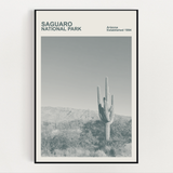Saguaro National Park Print, Monochrome