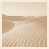Pink Sands Print