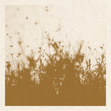 Wildflower Print